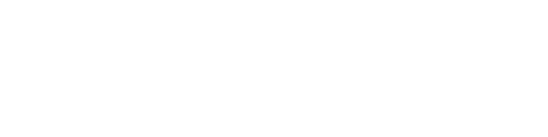 Example Logo